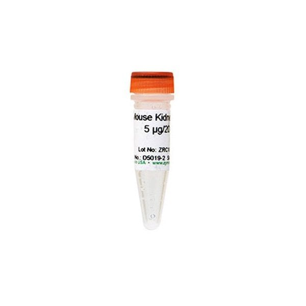 Mouse Kidney DNA, 5ug
